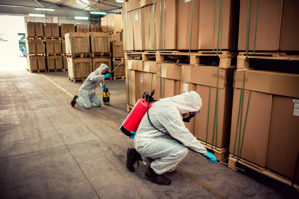 Best Exterminator Services  in Lame Deer, MT