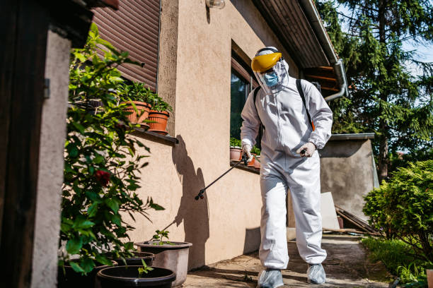 Best Wasp Removal Services  in Lame Deer, MT