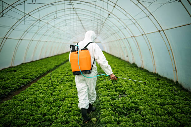 Best Affordable Pest Control Services  in Lame Deer, MT