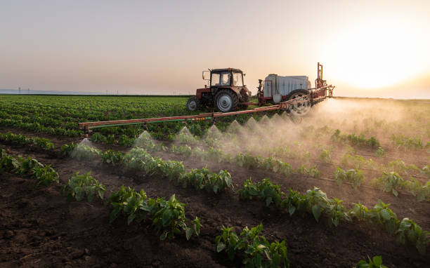 Professional Pest Control in Lame Deer, MT