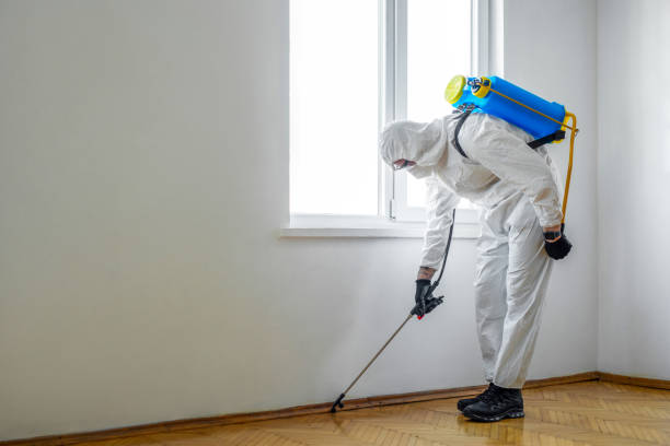 Best Local Pest Control Services  in Lame Deer, MT