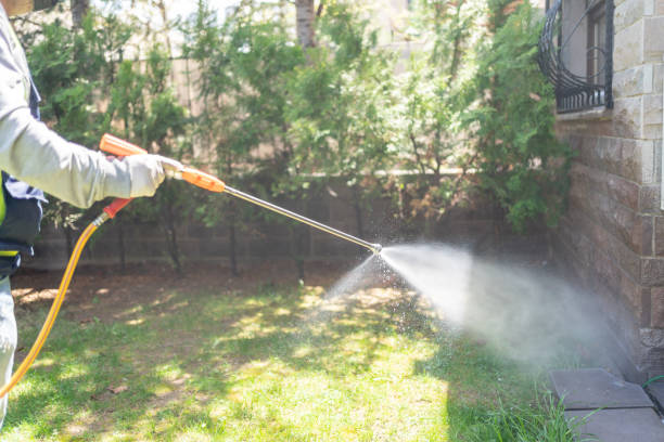 Best Pest Prevention Services  in Lame Deer, MT