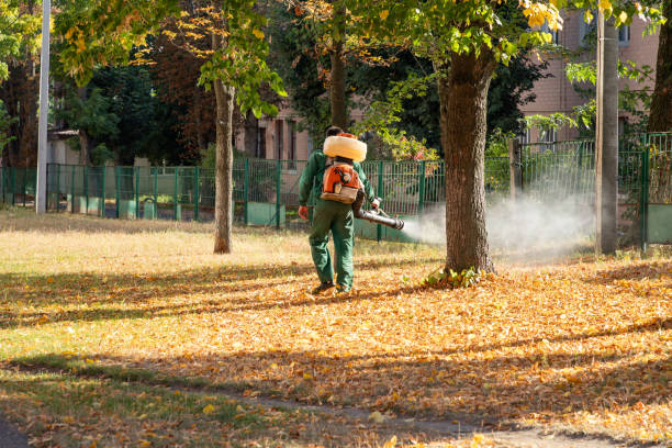 Best Best Pest Control Companies  in Lame Deer, MT