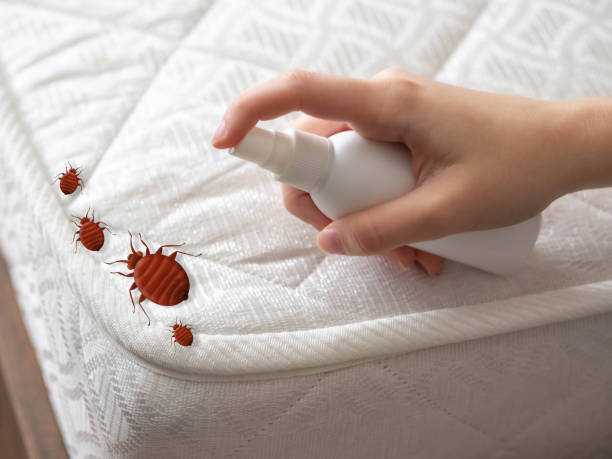 Insect Control in Lame Deer, MT