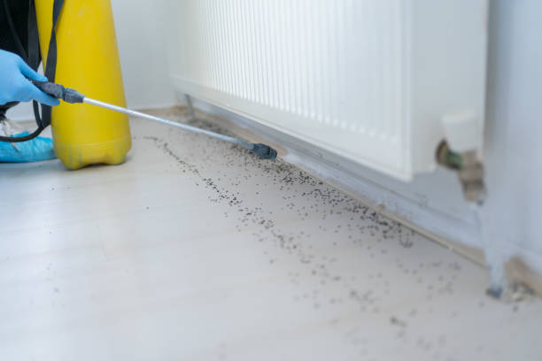 Best Cockroach Control Services  in Lame Deer, MT