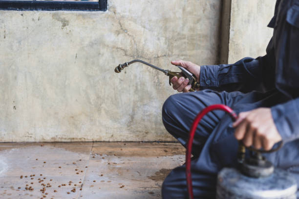Best Rat Extermination Near Me  in Lame Deer, MT